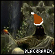 Avatar of BlackRaven