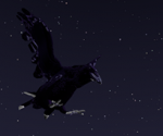 Avatar of Carrion Crow