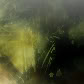 Avatar of Arnoc