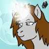 Avatar of Finite True